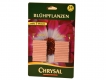 Düngestäbchen für Blühpflanzen - Packungsinhalt: 21 g (Marke: Chrysal)